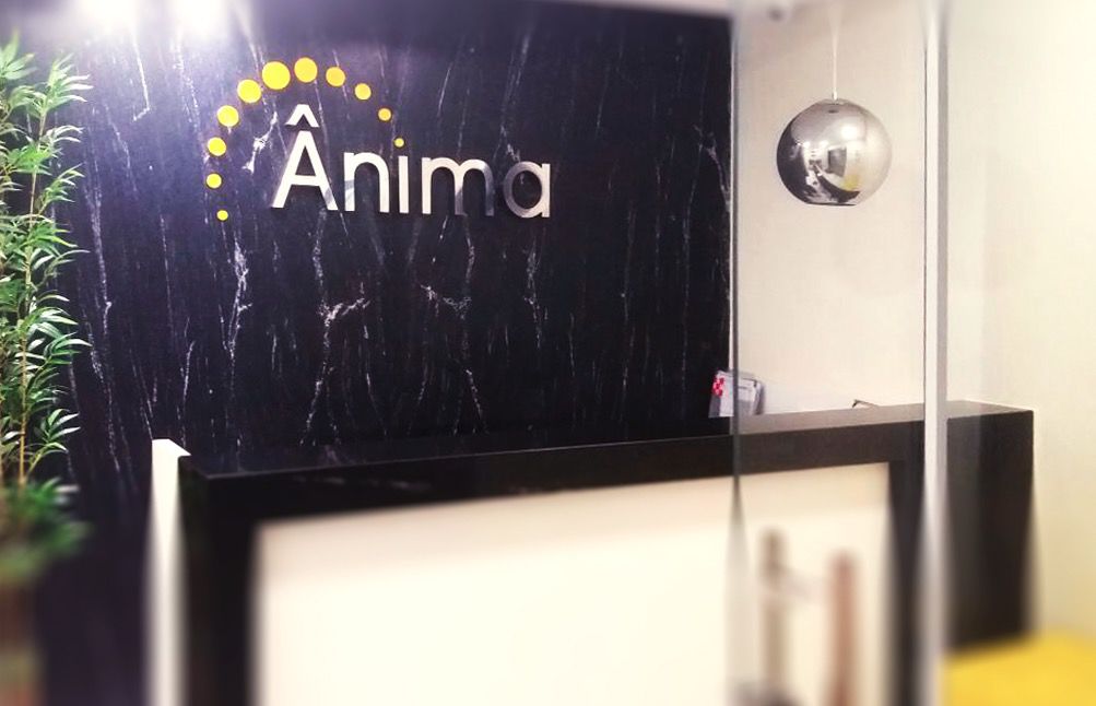 anima entrada